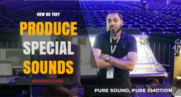 Unveiling the Secrets: How Special Sounds Are Produced in Nature and Tech