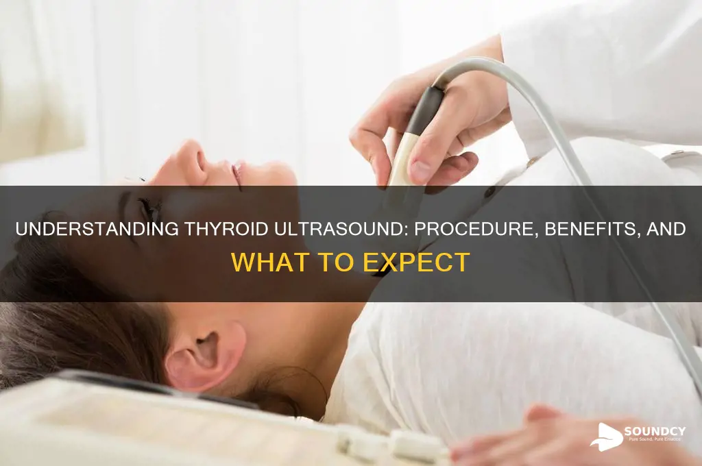 how do they ultra sound yourvthyroid