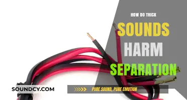 Thick Sounds: How They Disrupt Audio Clarity and Harm Separation