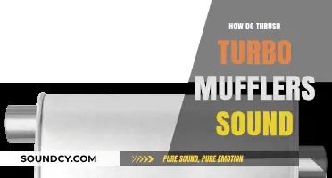 Thrush Turbo Mufflers: Unveiling Their Unique Sound and Performance
