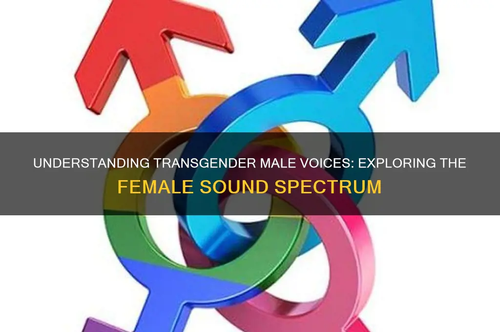 how do transgender males sound female