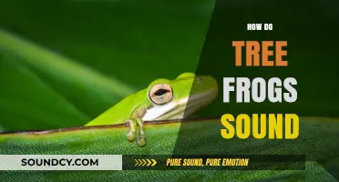 Exploring the Unique Sounds of Tree Frogs in Nature