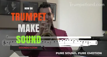 How Trumpets Produce Sound: A Comprehensive Guide to Brass Mechanics