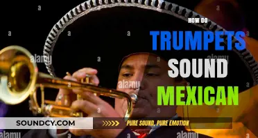 Exploring the Mexican Trumpet Sound: Techniques, Rhythms, and Cultural Influence