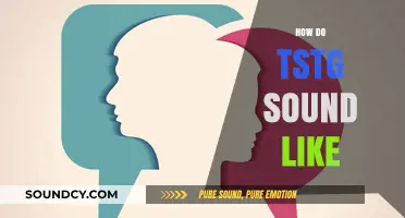 Understanding the Unique Vocal Characteristics of Transgender and Non-Binary Individuals