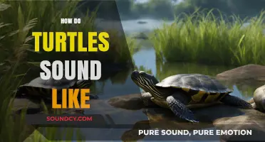 Unveiling the Unique Vocalizations: What Sounds Do Turtles Actually Make?