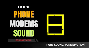 Exploring the Unique Sounds of Two Phone Modems in Action