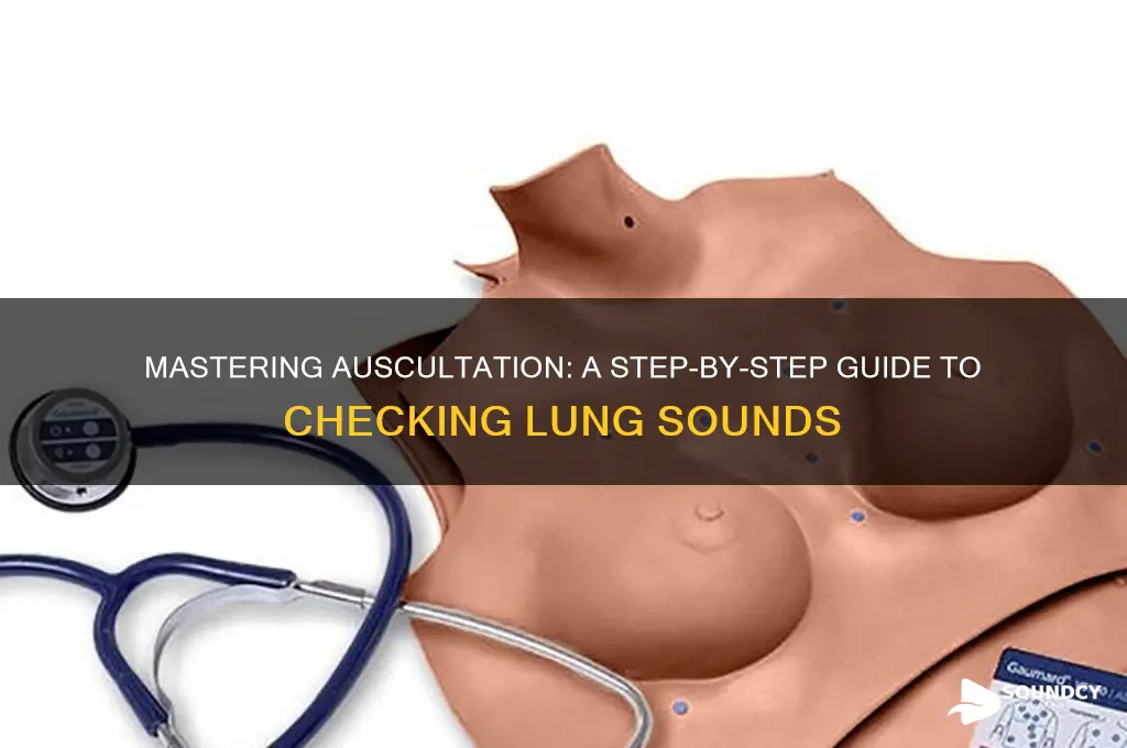 how do u check lung sounds
