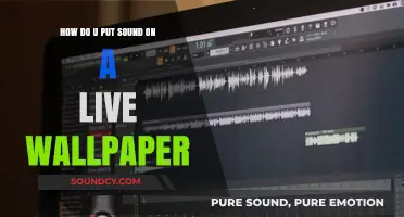 Add Sound to Live Wallpaper: Easy Steps for Dynamic Customization