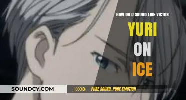 Master Victor Nikiforov's Voice: A Yuri!!! on Ice Sound Guide