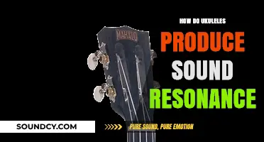 Unveiling the Science Behind Ukulele Sound Resonance and Vibrations