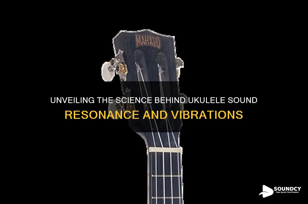 how do ukuleles produce sound resonance