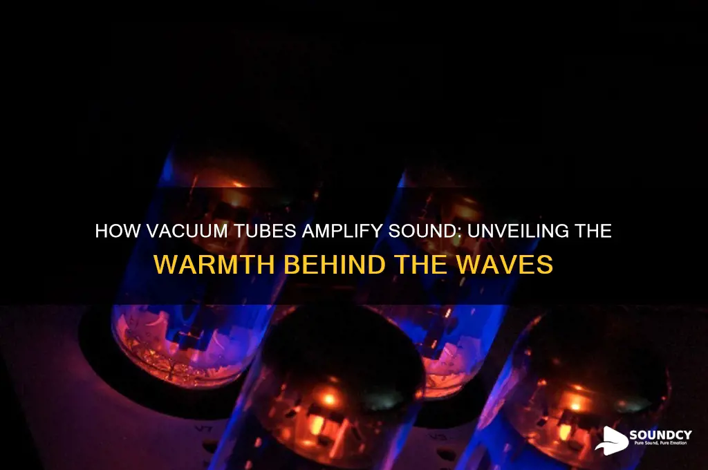 how do vacuum tubes amplify sound