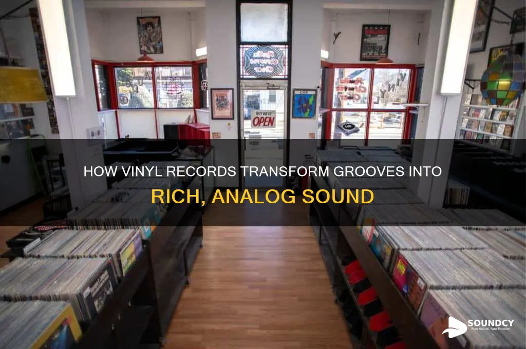 how do vinyls make sound