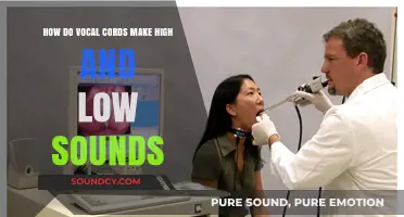 Understanding Vocal Cord Vibrations: Creating High and Low Pitch Sounds