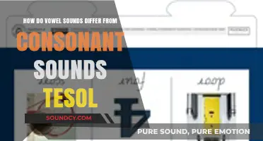 Vowel vs. Consonant Sounds: Key Differences for TESOL Educators
