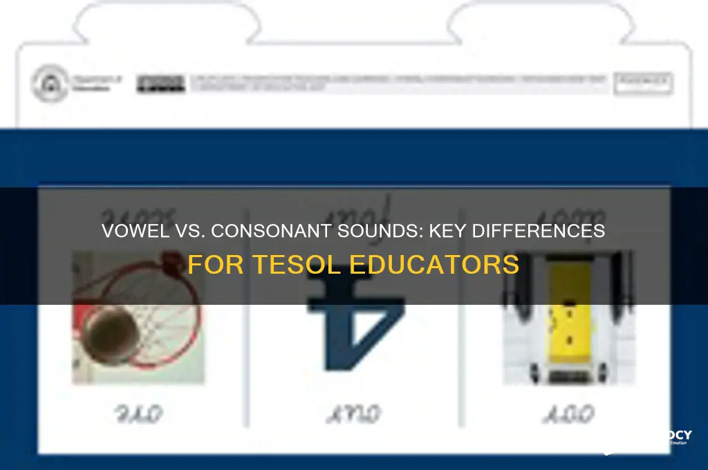 how do vowel sounds differ from consonant sounds tesol