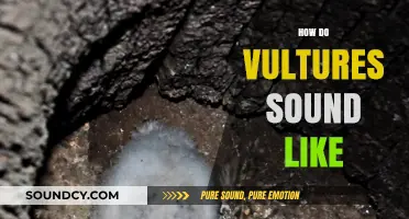 Unveiling the Unique Vocalizations: What Sounds Do Vultures Make?