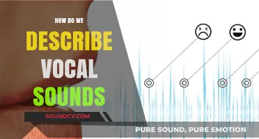Understanding Vocal Sounds: Techniques to Describe and Analyze Human Voice