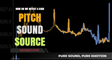 Pinpointing High-Pitch Sound Sources: Advanced Detection Techniques and Technologies