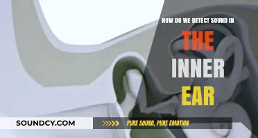 Unveiling the Inner Ear's Secrets: How Sound Detection Works