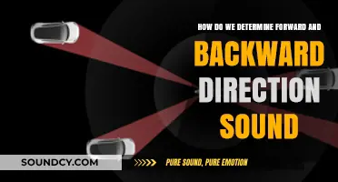 Decoding Sound Direction: How We Perceive Forward and Backward Audio