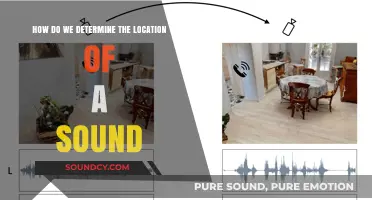 Pinpointing Sound: The Science Behind Locating Auditory Sources