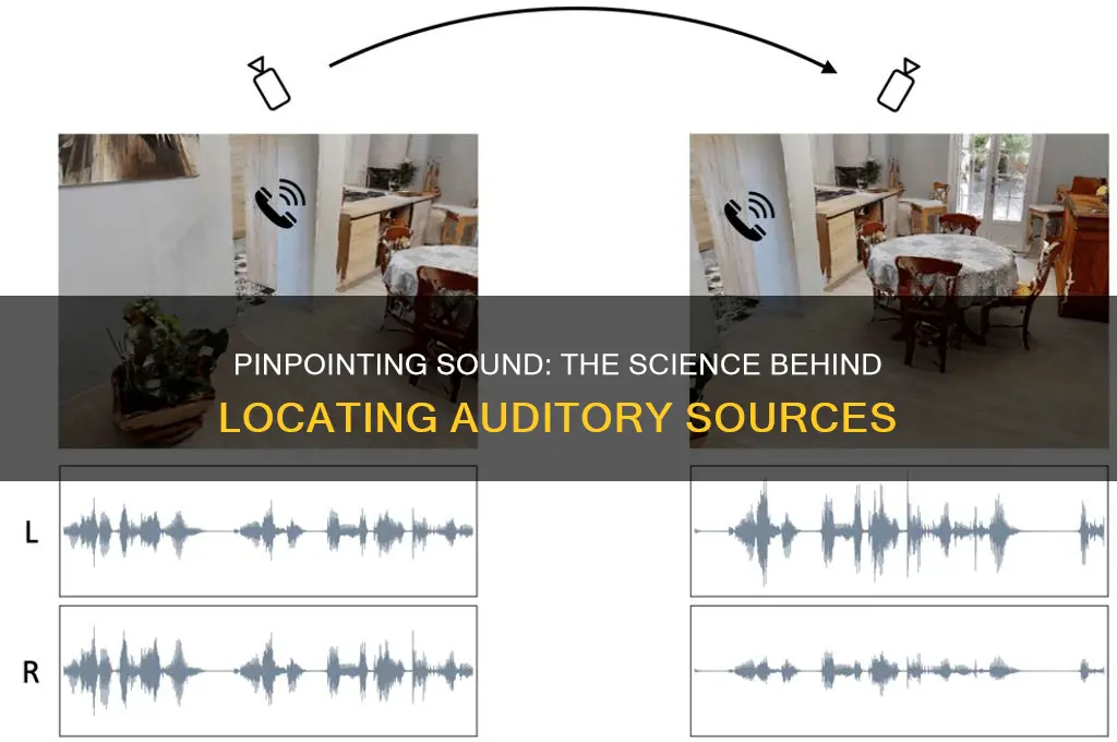 how do we determine the location of a sound