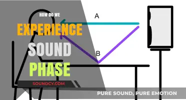 Unraveling the Mystery: How We Perceive Sound Phase in Audio