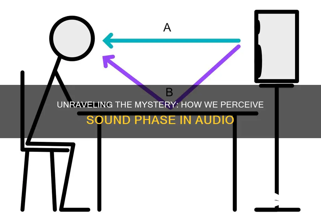 how do we experience sound phase