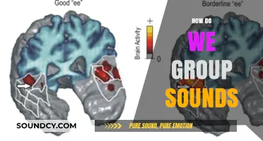 Understanding Sound Grouping: How Our Brains Categorize and Organize Auditory Input