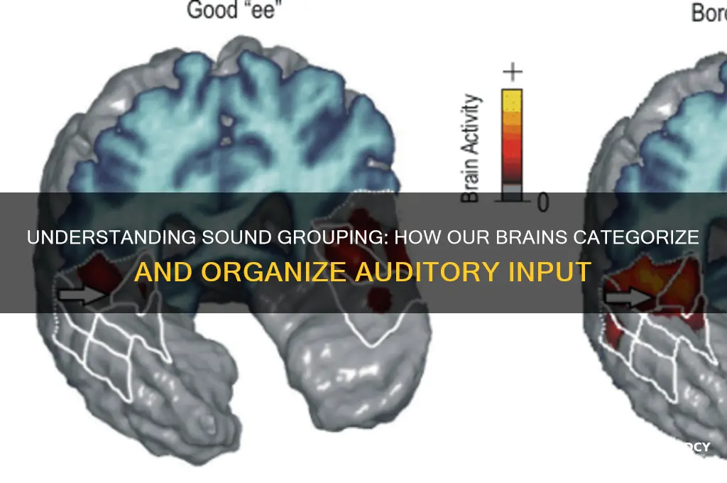 how do we group sounds