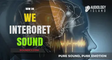 Decoding Sound: Understanding How Our Brains Interpret Auditory Signals