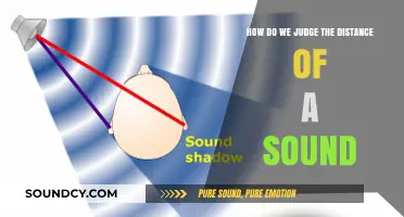 How We Perceive and Judge the Distance of a Sound