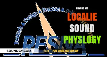 Localizing Sound Physiology: Techniques, Challenges, and Real-World Applications