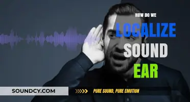 How Our Ears Localize Sound: Unlocking the Science of Directional Hearing