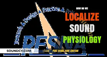Localizing Sound Physiology: Techniques, Challenges, and Real-World Applications