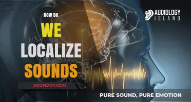 Unraveling the Science: How Our Brains Localize Sounds in Space