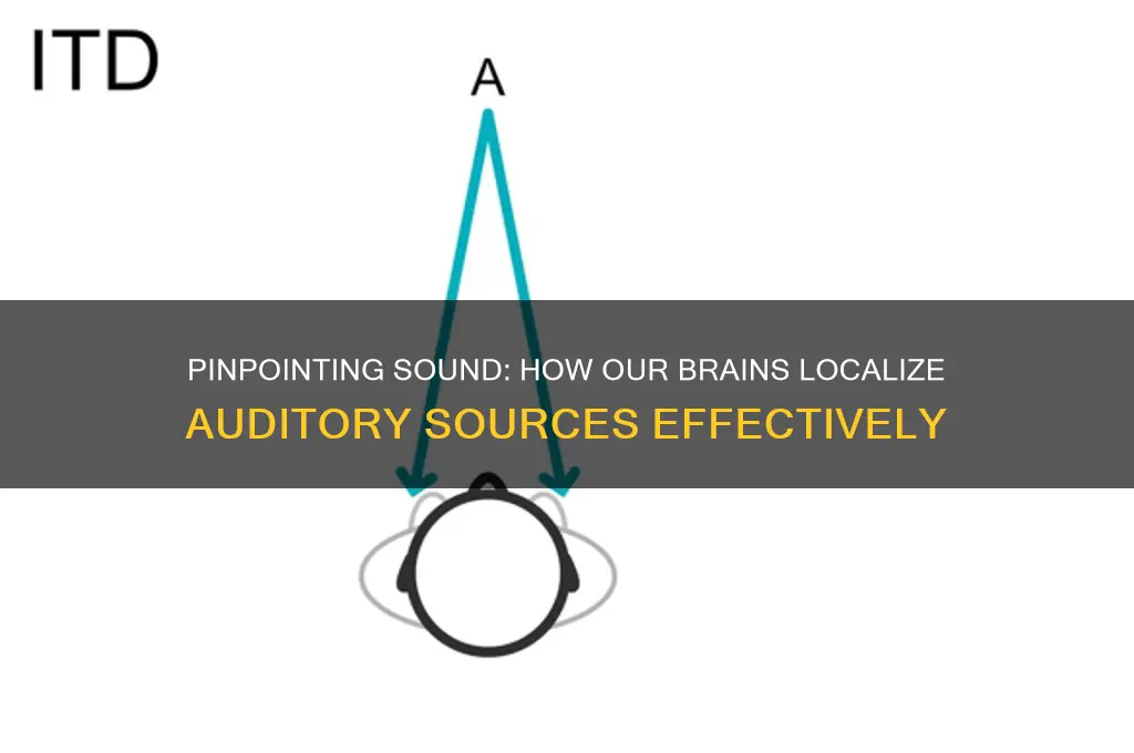 how do we localize the source of a sound