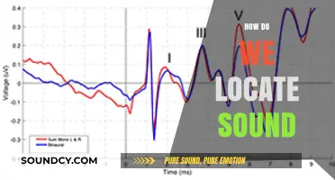 Unraveling the Mystery: How Our Brains Pinpoint Sound Sources