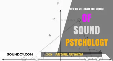 Unraveling Sound Source Perception: Insights from Psychological Research