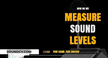 Understanding Sound Measurement: Decibel Scales and Level Assessment Techniques