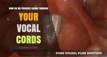 Unveiling the Science: How Vocal Cords Create Sound in Speech
