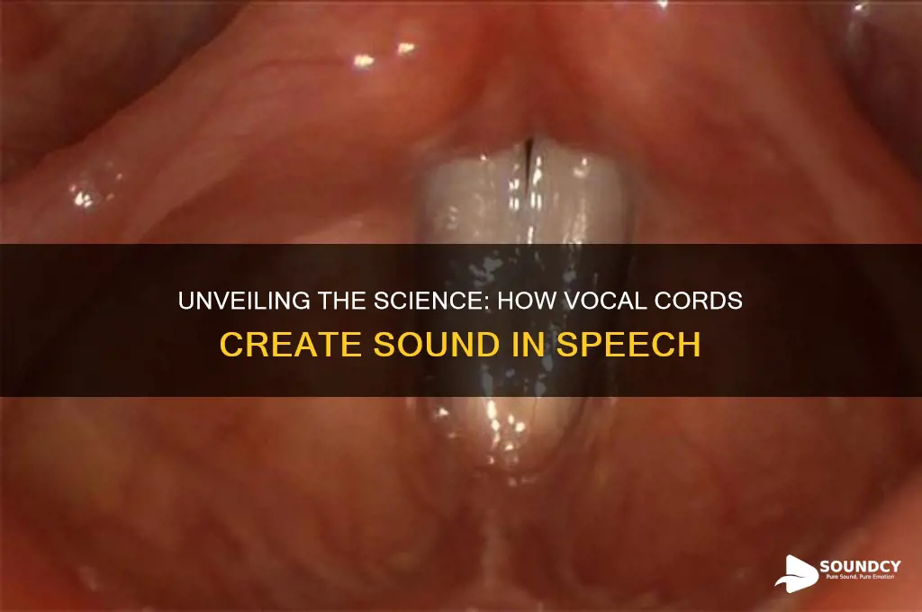 how do we produce sound through your vocal cords