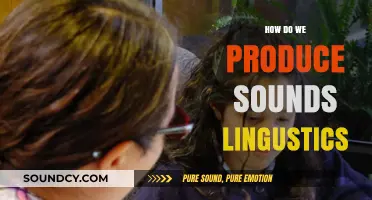 Unraveling the Art of Speech: How Linguistics Shapes Sound Production