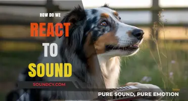 Unraveling Our Auditory Instincts: How We React to Sound