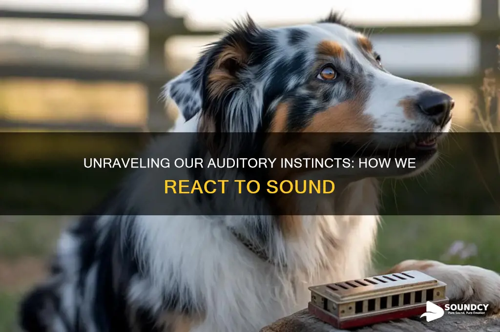 how do we react to sound