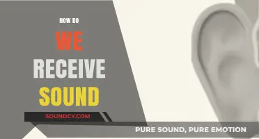 Unraveling the Science: How Our Ears Capture and Process Sound