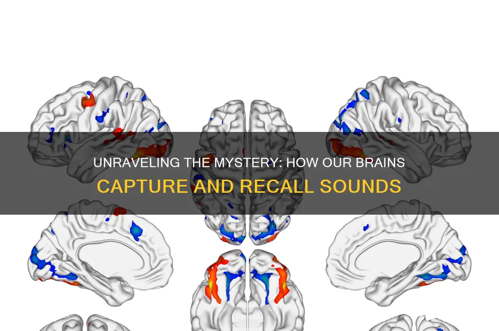 how do we remember sounds