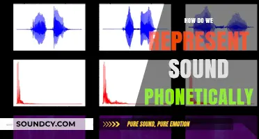 Decoding Speech: The Art of Phonetic Sound Representation Explained